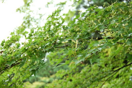 f:id:gzutetsu:20090222010051j:image f:id:gzutetsu:20090222010051j:image