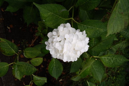f:id:gzutetsu:20090222010057j:image f:id:gzutetsu:20090222010057j:image