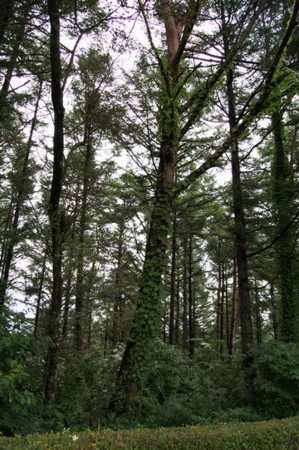 f:id:gzutetsu:20090222010419j:image f:id:gzutetsu:20090222010419j:image
