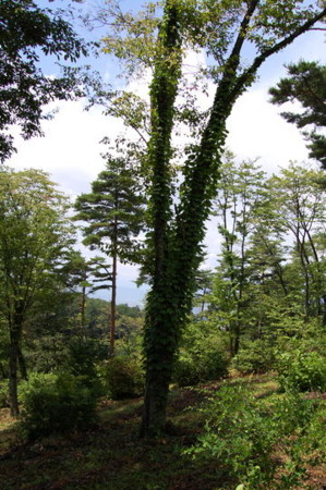 f:id:gzutetsu:20090222010426j:image f:id:gzutetsu:20090222010426j:image