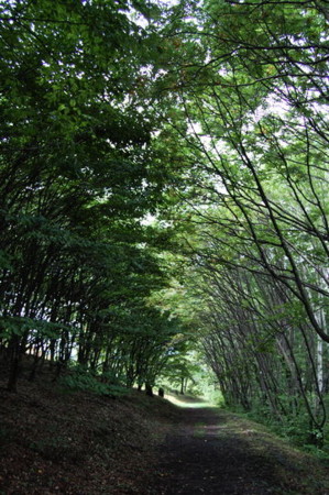 f:id:gzutetsu:20090222010432j:image f:id:gzutetsu:20090222010432j:image
