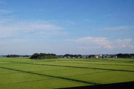f:id:gzutetsu:20090222010450j:image f:id:gzutetsu:20090222010450j:image