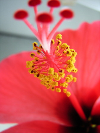 f:id:gzutetsu:20090222010733j:image f:id:gzutetsu:20090222010733j:image
