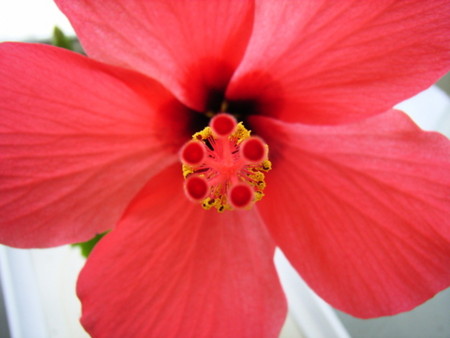 f:id:gzutetsu:20090222010735j:image f:id:gzutetsu:20090222010735j:image