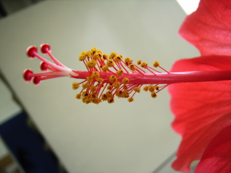 f:id:gzutetsu:20090222010736j:image f:id:gzutetsu:20090222010736j:image