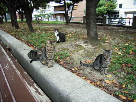 f:id:gzutetsu:20090222010945j:image f:id:gzutetsu:20090222010945j:image