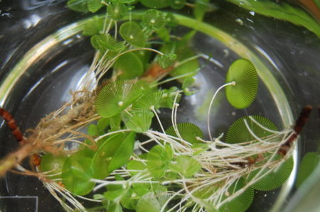 f:id:gzutetsu:20090228115318j:image f:id:gzutetsu:20090228115318j:image