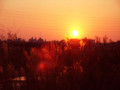 20090301011514