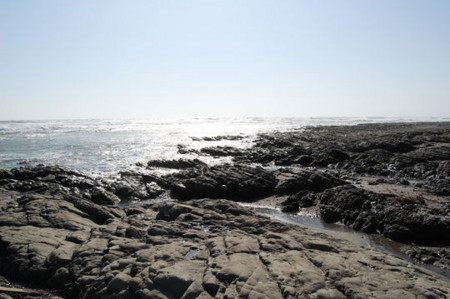 f:id:gzutetsu:20090322211711j:image