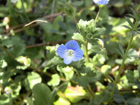 f:id:gzutetsu:20090322211718j:image