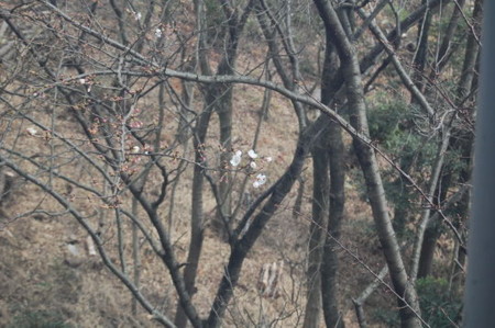 f:id:gzutetsu:20090322211751j:image