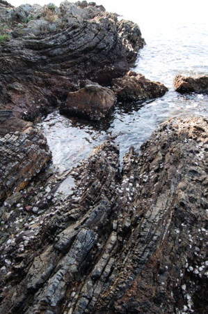 f:id:gzutetsu:20090322211815j:image