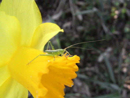 f:id:gzutetsu:20090322211837j:image