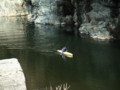 20090329184115