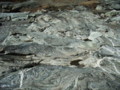 20090329184127