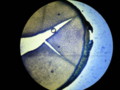 20090329184131