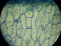 20090329184138