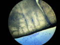 20090329184143