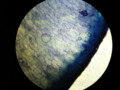 20090329184145