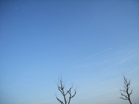f:id:gzutetsu:20090329184351j:image