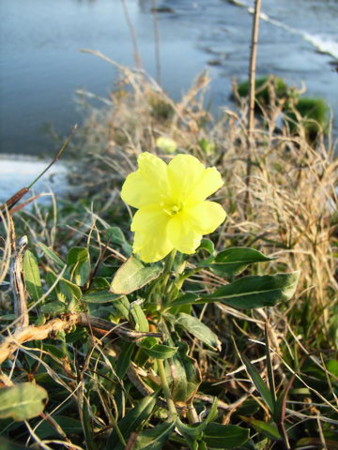 f:id:gzutetsu:20090329184610j:image