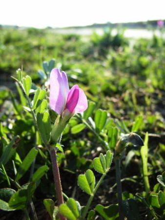 f:id:gzutetsu:20090329184627j:image f:id:gzutetsu:20090329184627j:image
