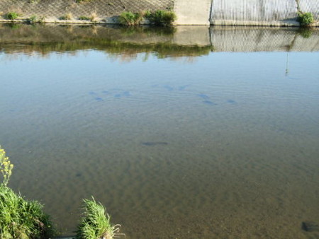 f:id:gzutetsu:20090329184629j:image f:id:gzutetsu:20090329184629j:image