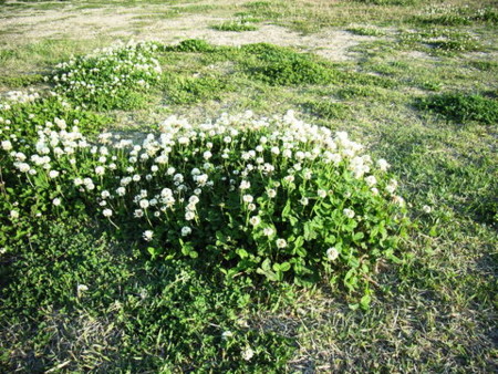 f:id:gzutetsu:20090329184631j:image f:id:gzutetsu:20090329184631j:image