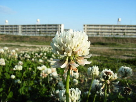 f:id:gzutetsu:20090329184632j:image f:id:gzutetsu:20090329184632j:image