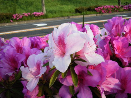 f:id:gzutetsu:20090329184638j:image