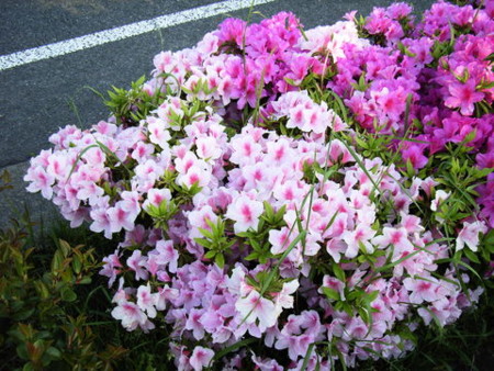 f:id:gzutetsu:20090329184639j:image