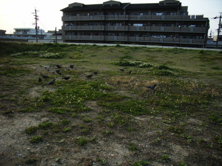 f:id:gzutetsu:20090329184641j:image