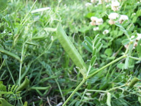 f:id:gzutetsu:20090329184643j:image