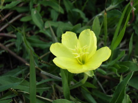 f:id:gzutetsu:20090329184645j:image