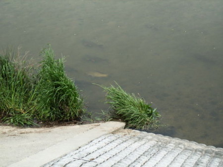 f:id:gzutetsu:20090329185654j:image