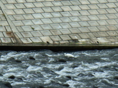 f:id:gzutetsu:20090329185656j:image
