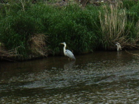 f:id:gzutetsu:20090329185657j:image