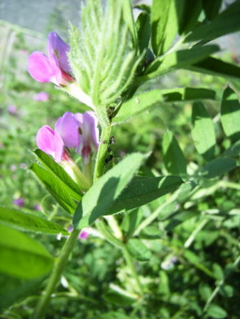 f:id:gzutetsu:20090329185658j:image