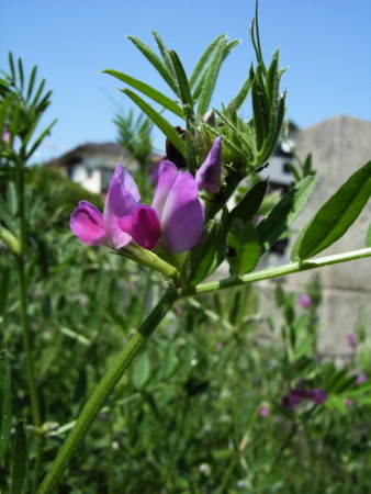 f:id:gzutetsu:20090329185701j:image