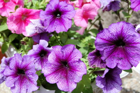 f:id:gzutetsu:20090329185807j:image f:id:gzutetsu:20090329185807j:image