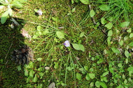 f:id:gzutetsu:20090404105756j:image
