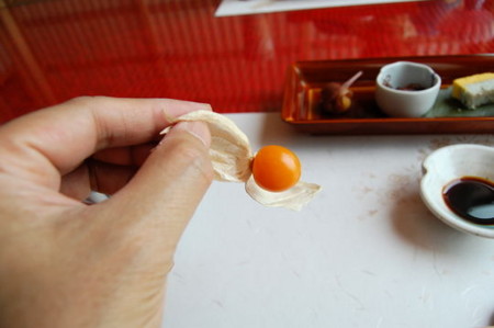 f:id:gzutetsu:20090404105807j:image