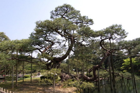 f:id:gzutetsu:20090404105822j:image