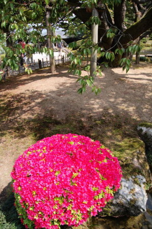 f:id:gzutetsu:20090404105823j:image