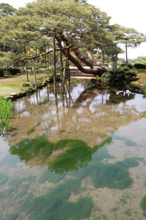 f:id:gzutetsu:20090404105824j:image