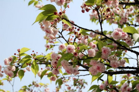 f:id:gzutetsu:20090404105826j:image