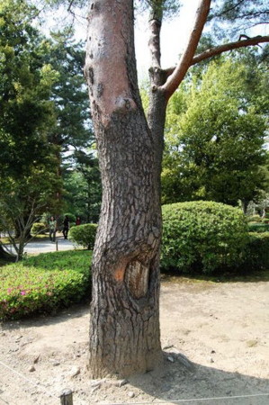 f:id:gzutetsu:20090404105835j:image