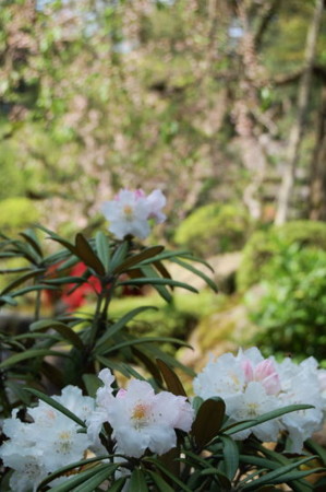 f:id:gzutetsu:20090404105837j:image