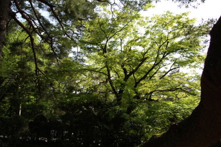 f:id:gzutetsu:20090404105847j:image