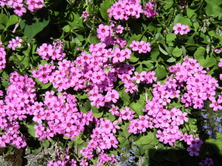 f:id:gzutetsu:20090416235732j:image